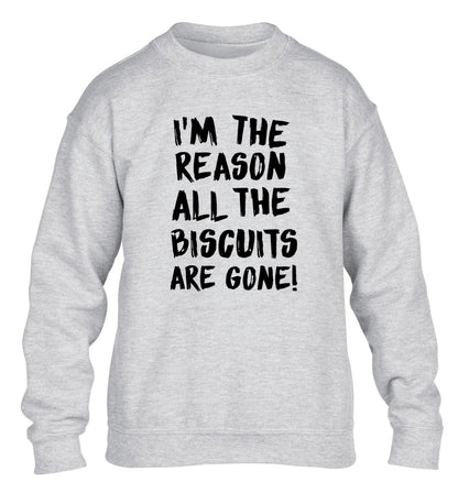 I'm the reason why all the biscuits are gone children's grey sweater 12-13 Years