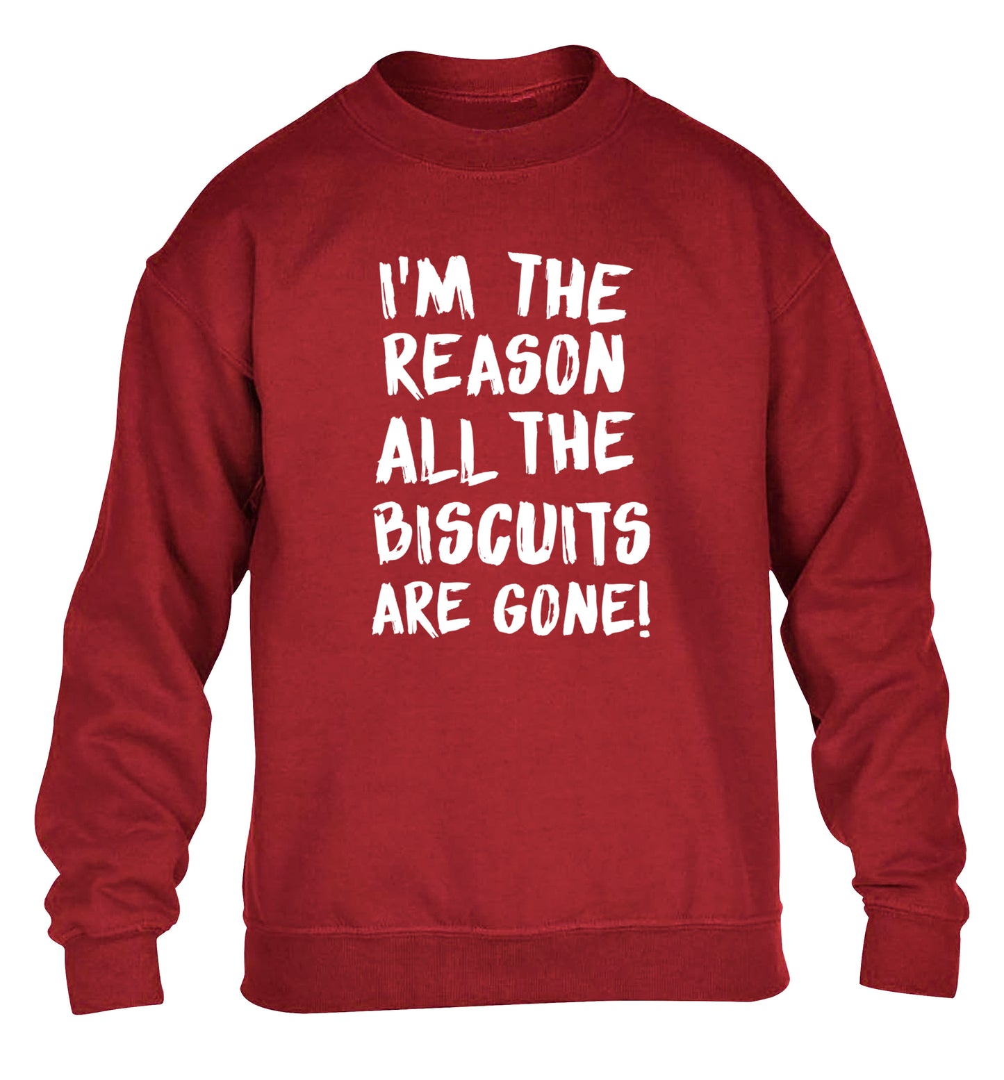 I'm the reason why all the biscuits are gone children's grey sweater 12-13 Years
