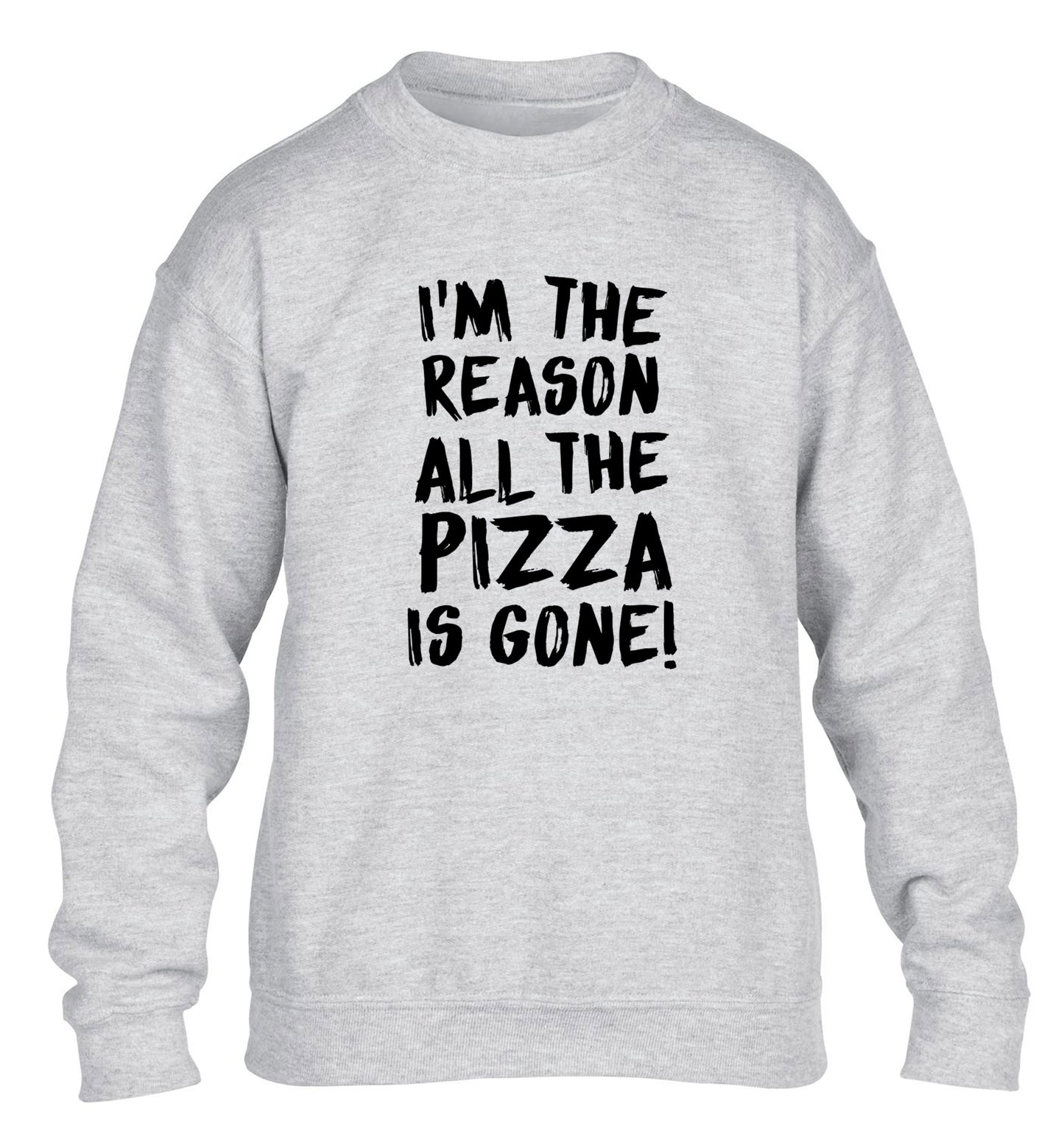 I'm the reason why all the pizza is gone children's grey sweater 12-13 Years