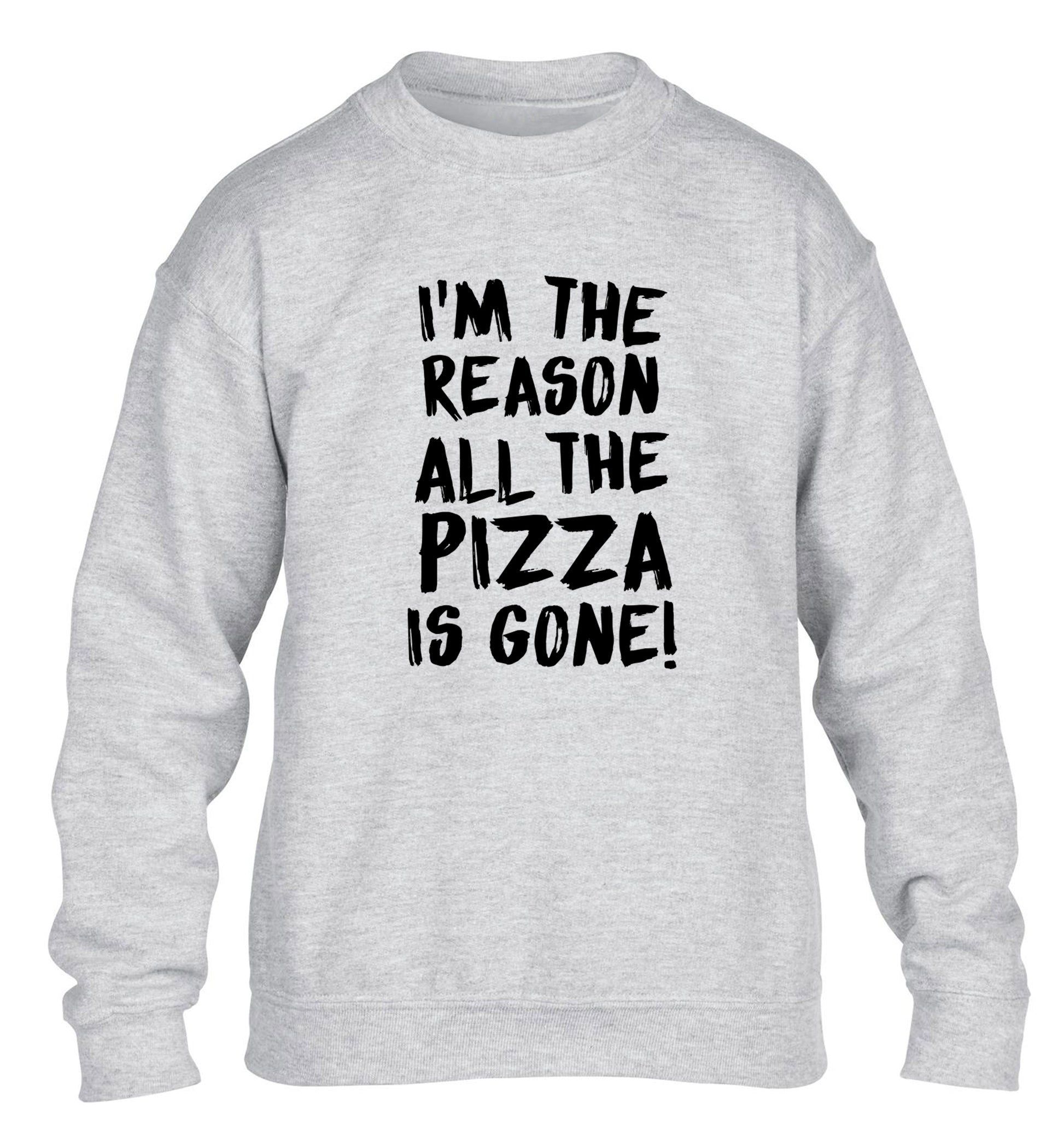 I'm the reason why all the pizza is gone children's grey sweater 12-13 Years