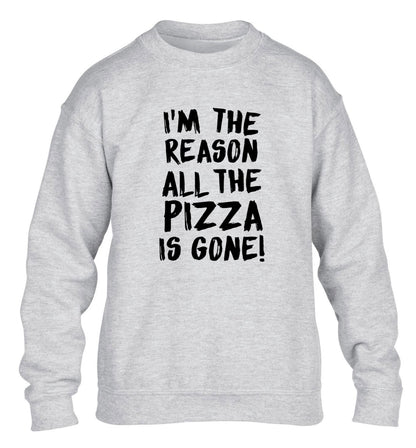 I'm the reason why all the pizza is gone children's grey sweater 12-13 Years
