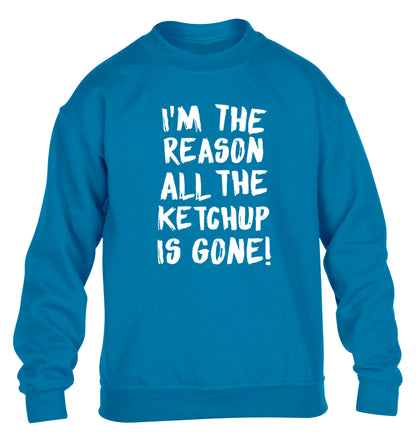 I'm the reason why all the ketchup is gone children's blue sweater 12-13 Years