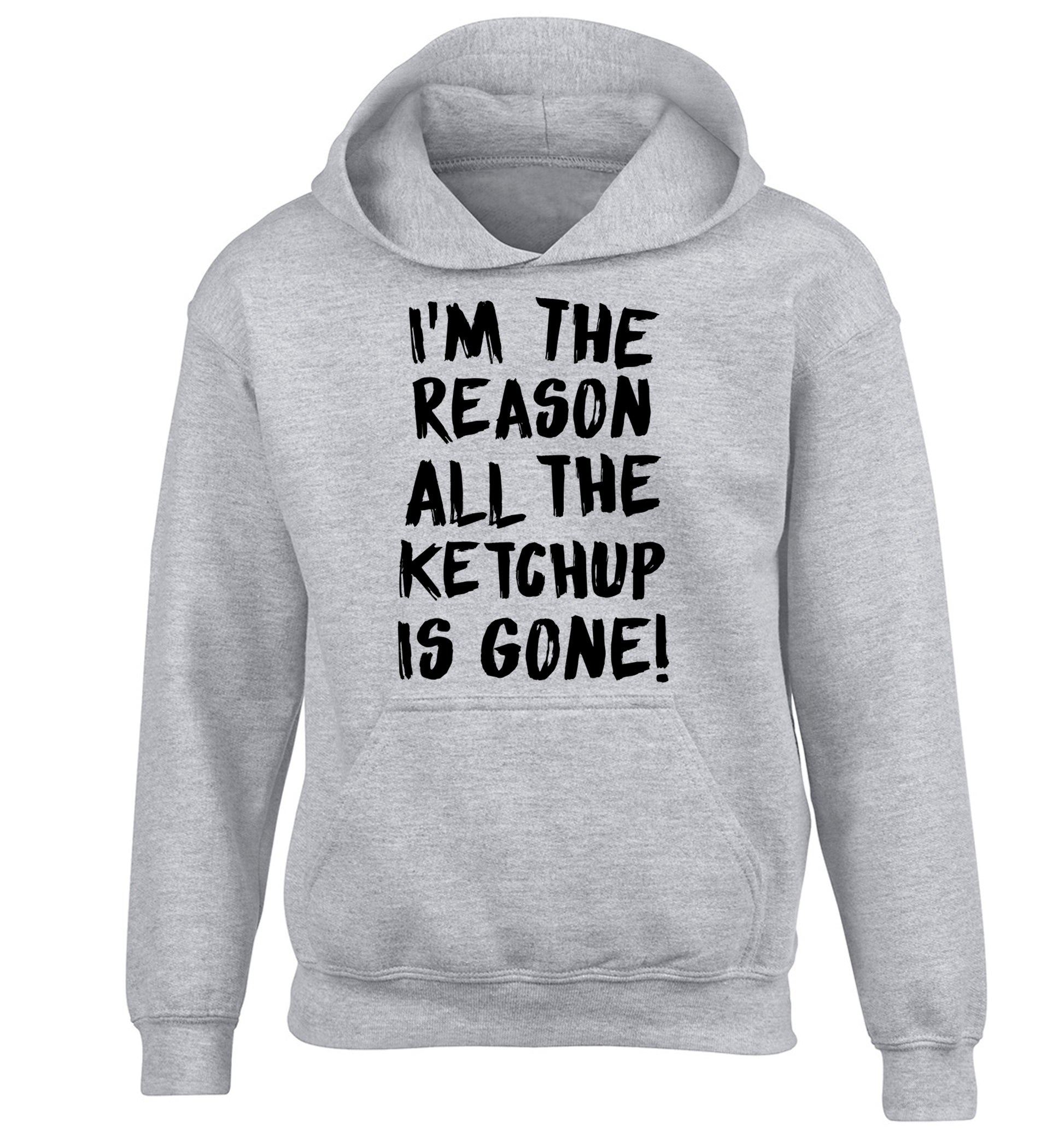 I'm the reason why all the ketchup is gone children's grey hoodie 12-13 Years