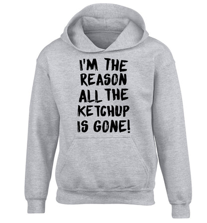 I'm the reason why all the ketchup is gone children's grey hoodie 12-13 Years