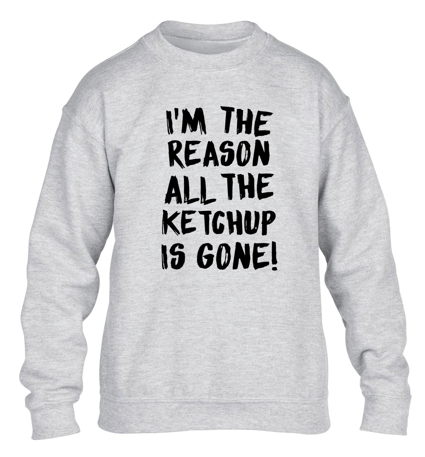 I'm the reason why all the ketchup is gone children's grey sweater 12-13 Years
