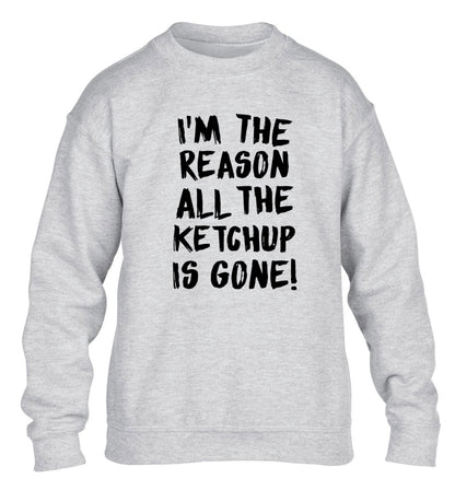 I'm the reason why all the ketchup is gone children's grey sweater 12-13 Years