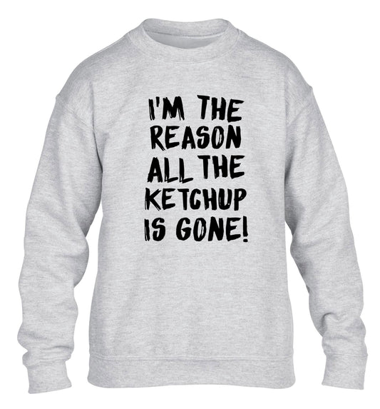 I'm the reason why all the ketchup is gone children's grey sweater 12-13 Years