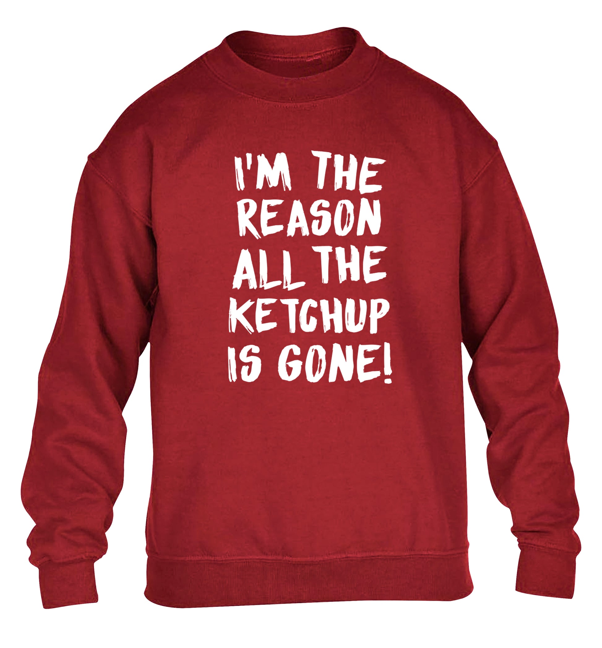 I'm the reason why all the ketchup is gone children's grey sweater 12-13 Years