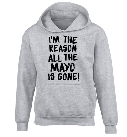 I'm the reason why all the mayo is gone children's grey hoodie 12-13 Years