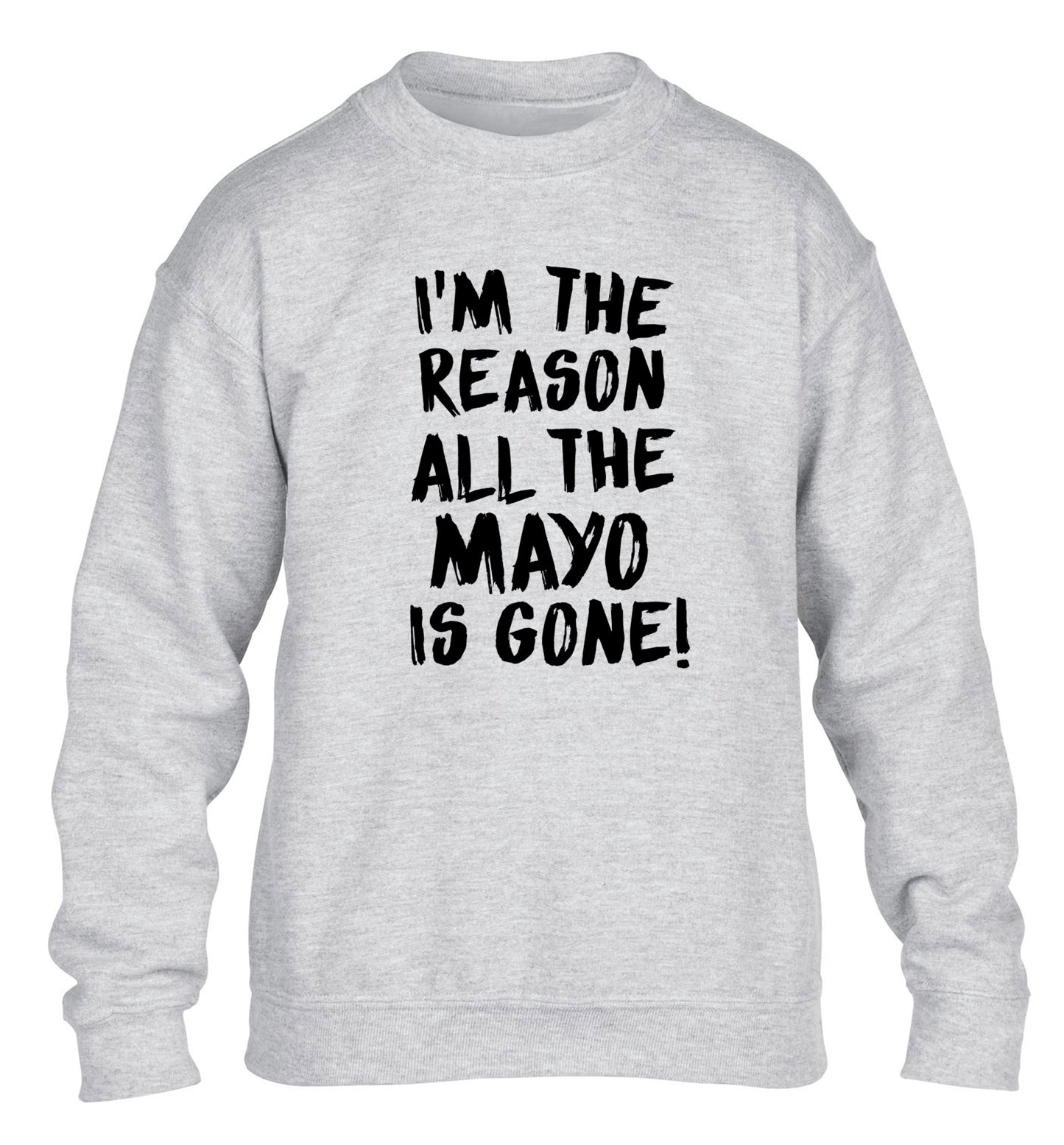 I'm the reason why all the mayo is gone children's grey sweater 12-13 Years