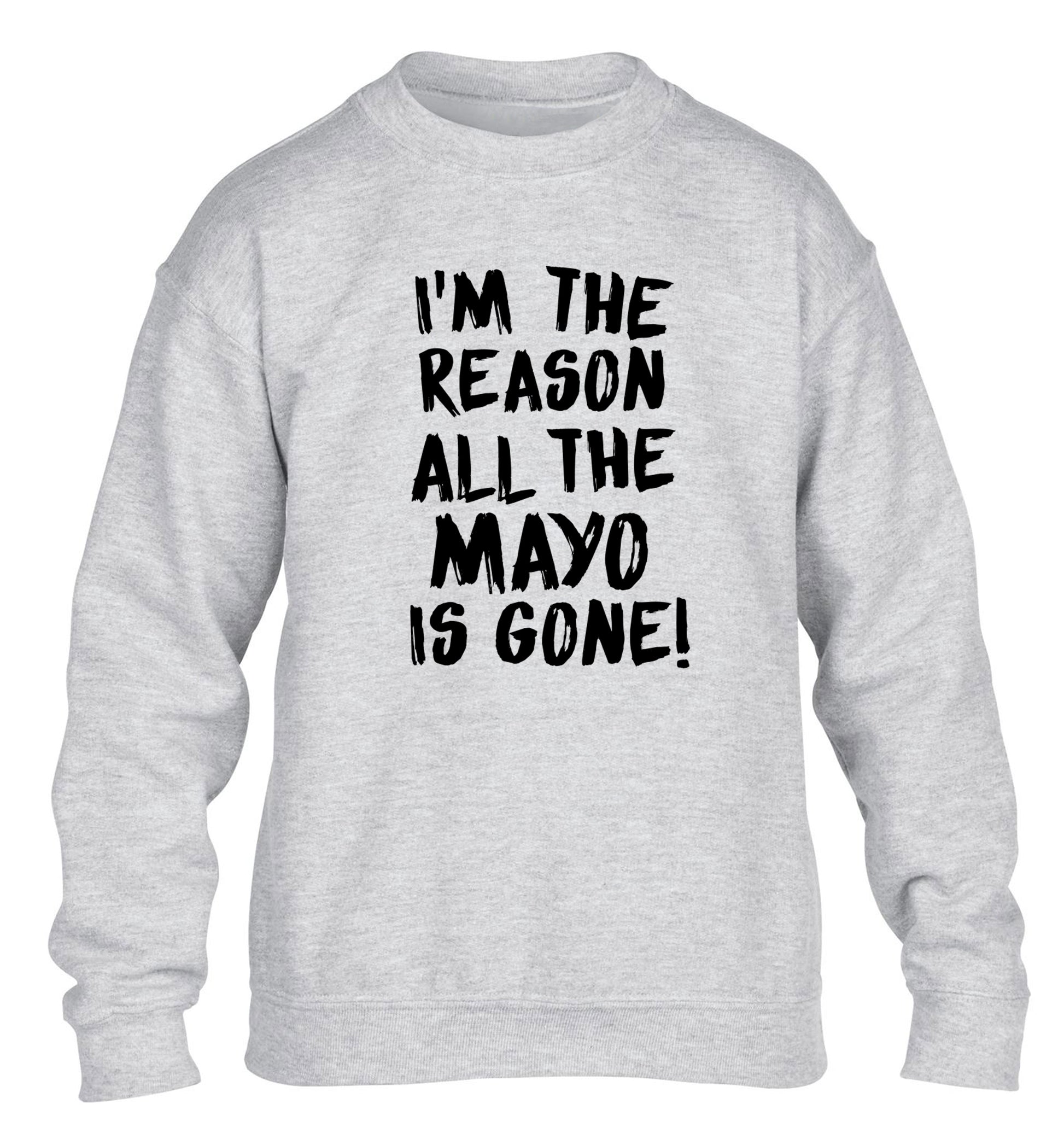 I'm the reason why all the mayo is gone children's grey sweater 12-13 Years