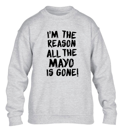I'm the reason why all the mayo is gone children's grey sweater 12-13 Years