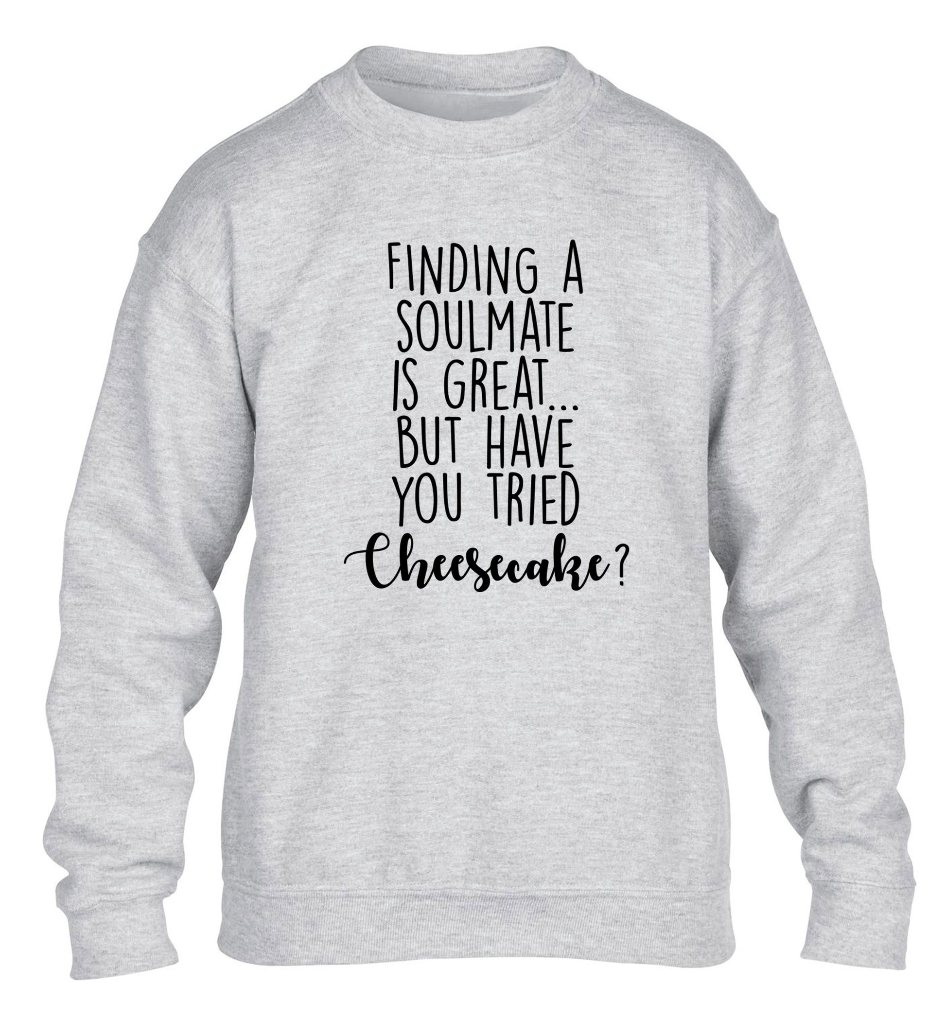 Finding a soulmate is great but have you tried cheesecake? children's grey sweater 12-13 Years