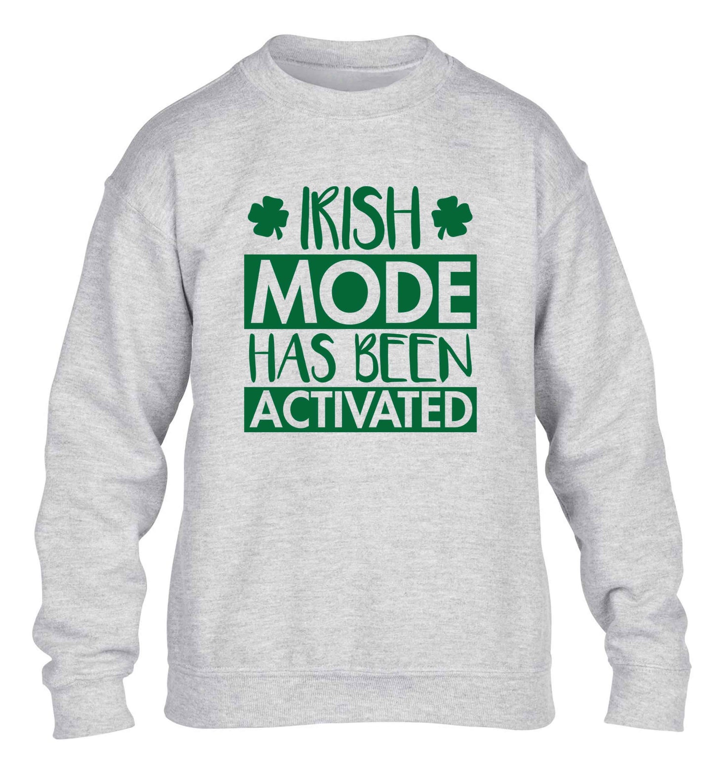 Irish mode has been activated children's grey sweater 12-13 Years