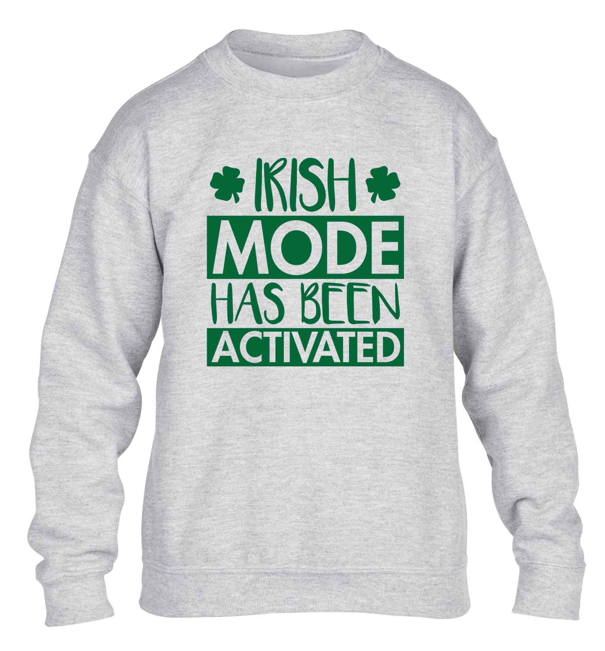 Irish mode has been activated children's grey sweater 12-13 Years