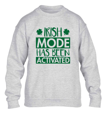 Irish mode has been activated children's grey sweater 12-13 Years