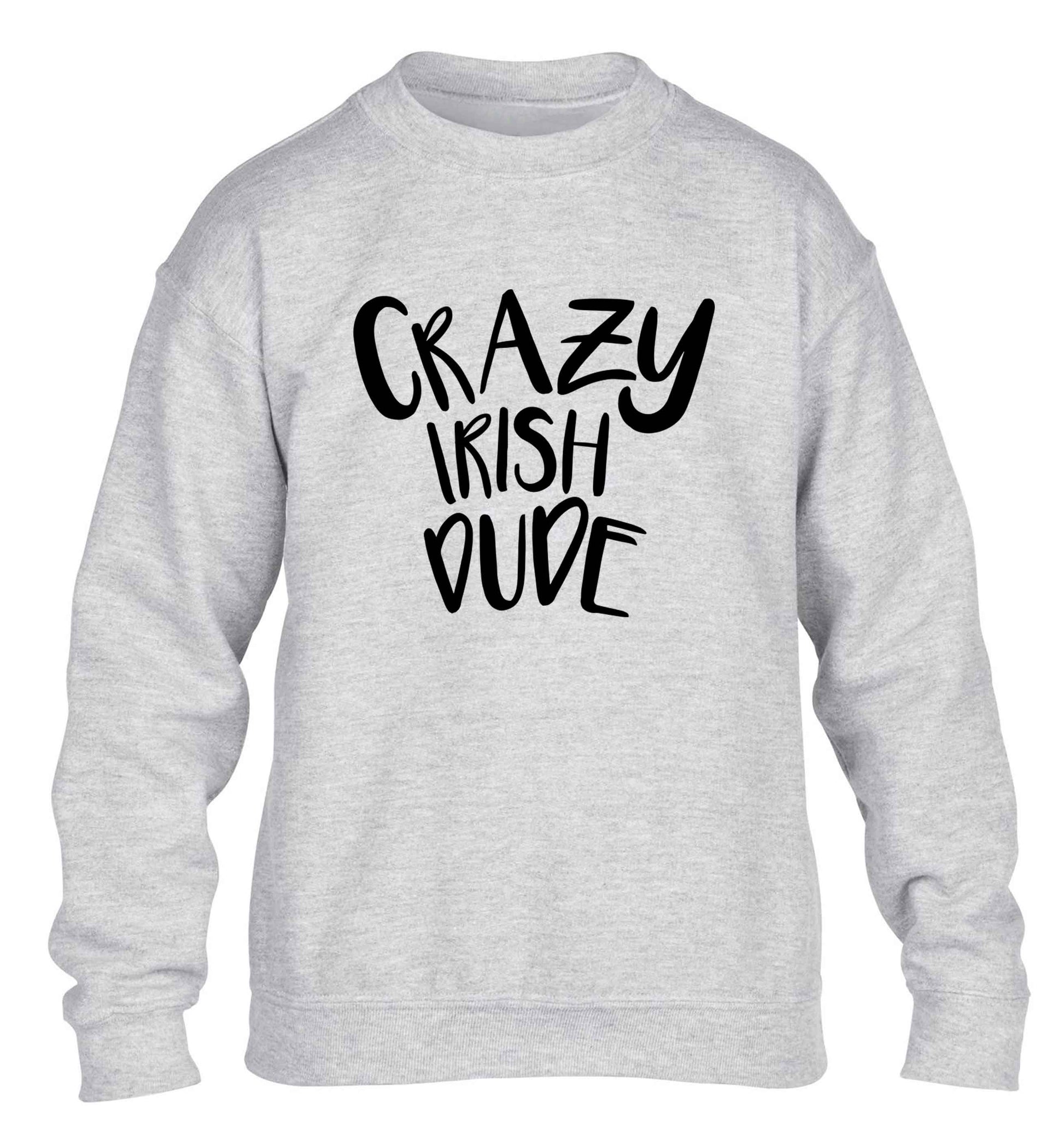 Crazy Irish dude children's grey sweater 12-13 Years