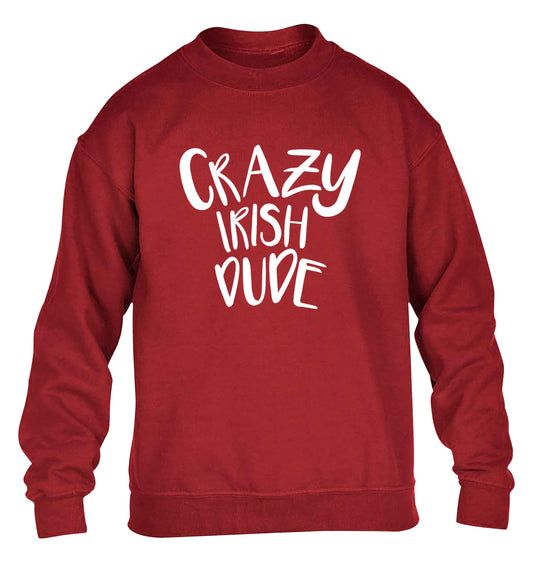 Crazy Irish dude children's grey sweater 12-13 Years