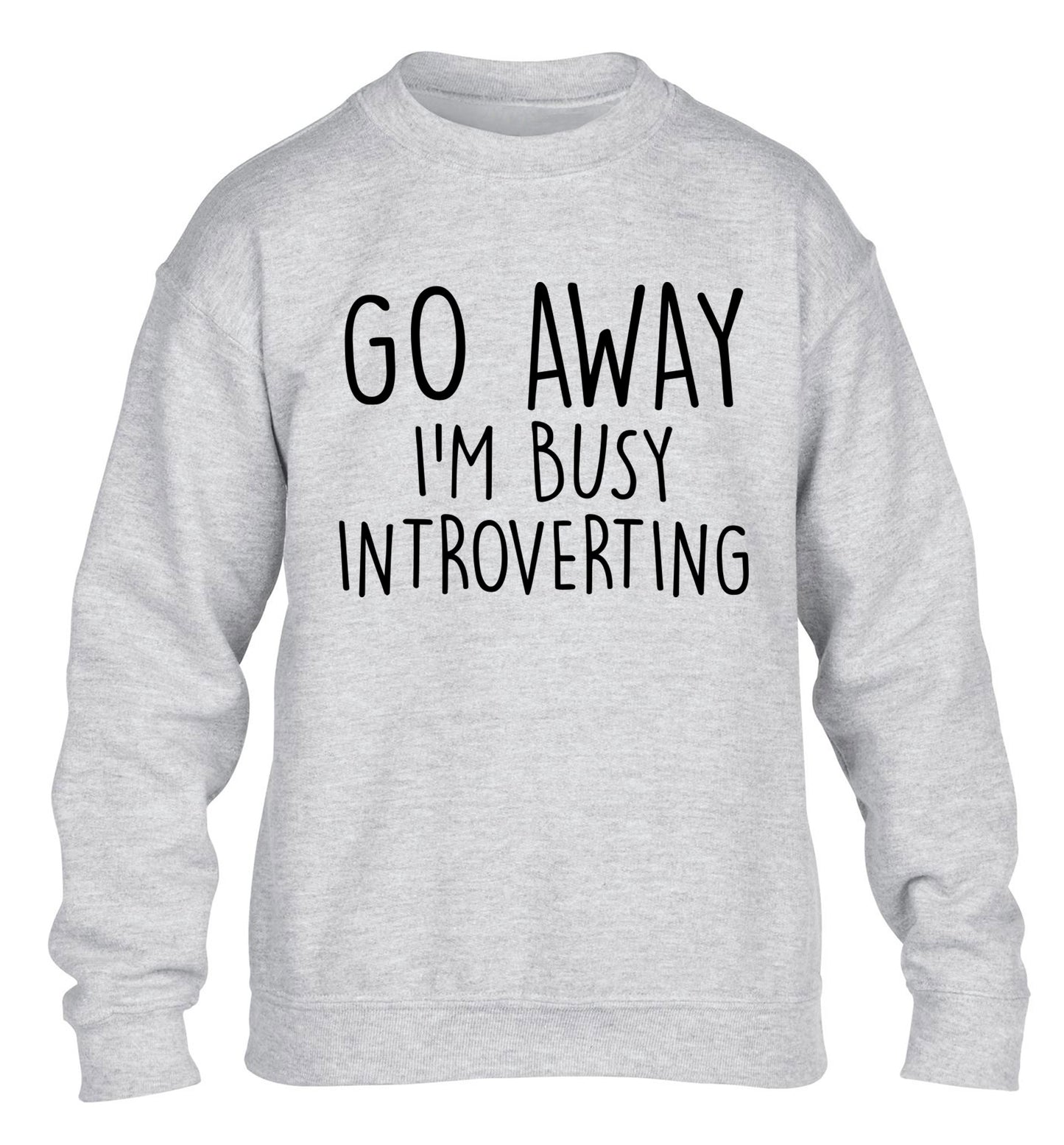 Go away I'm busy introverting children's grey sweater 12-13 Years