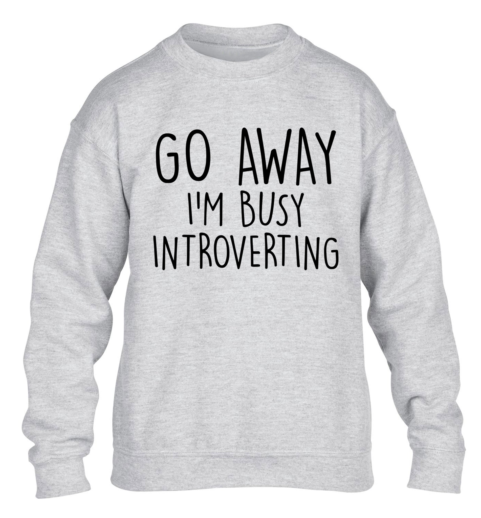 Go away I'm busy introverting children's grey sweater 12-13 Years