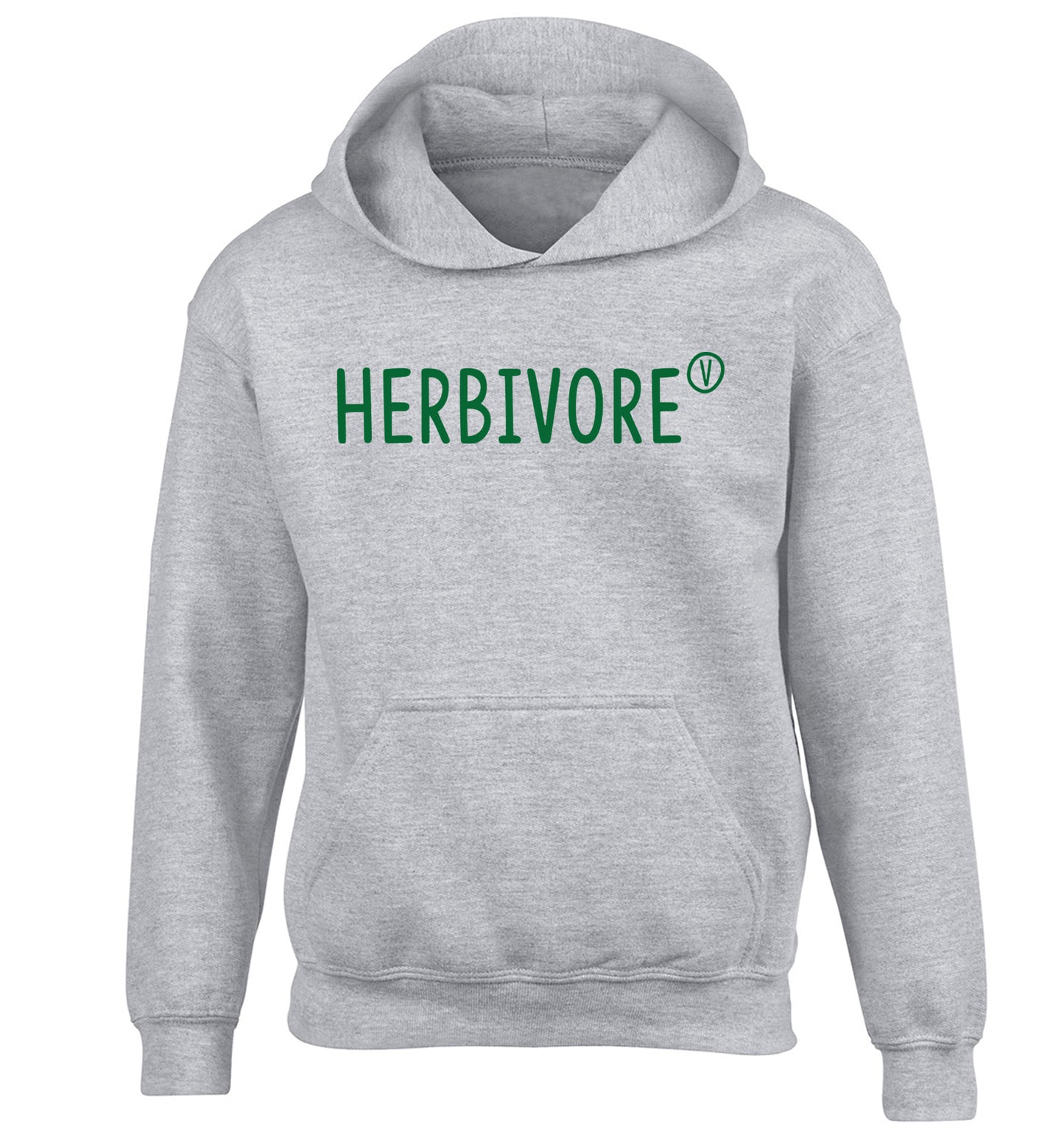 Herbivore children's grey hoodie 12-13 Years
