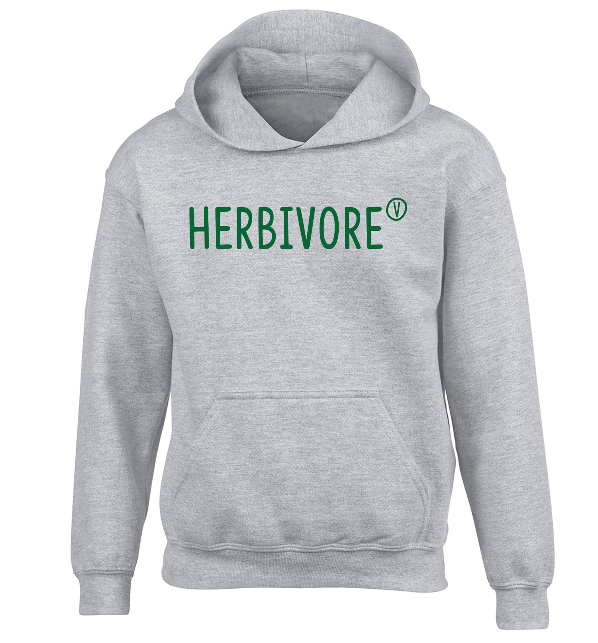Herbivore children's grey hoodie 12-13 Years