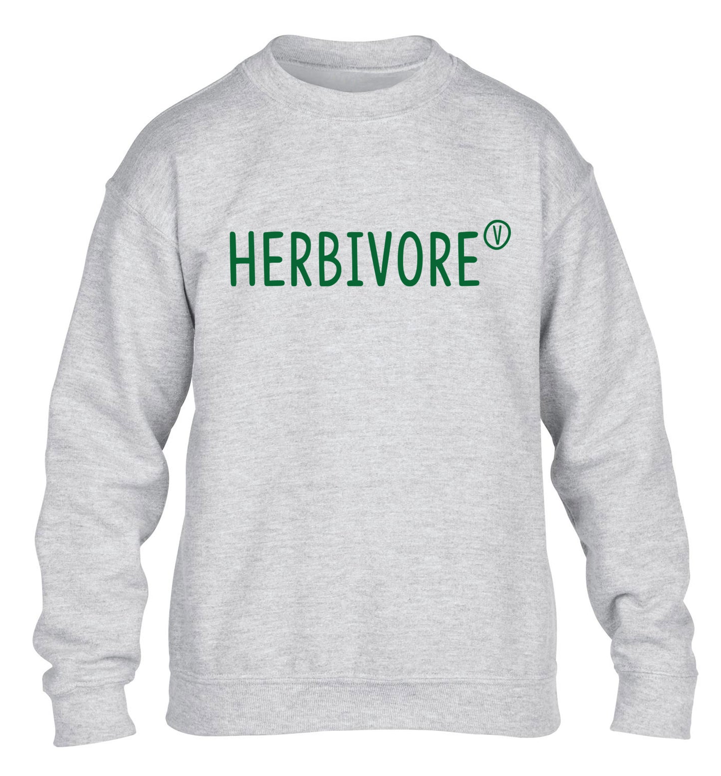 Herbivore children's grey sweater 12-13 Years