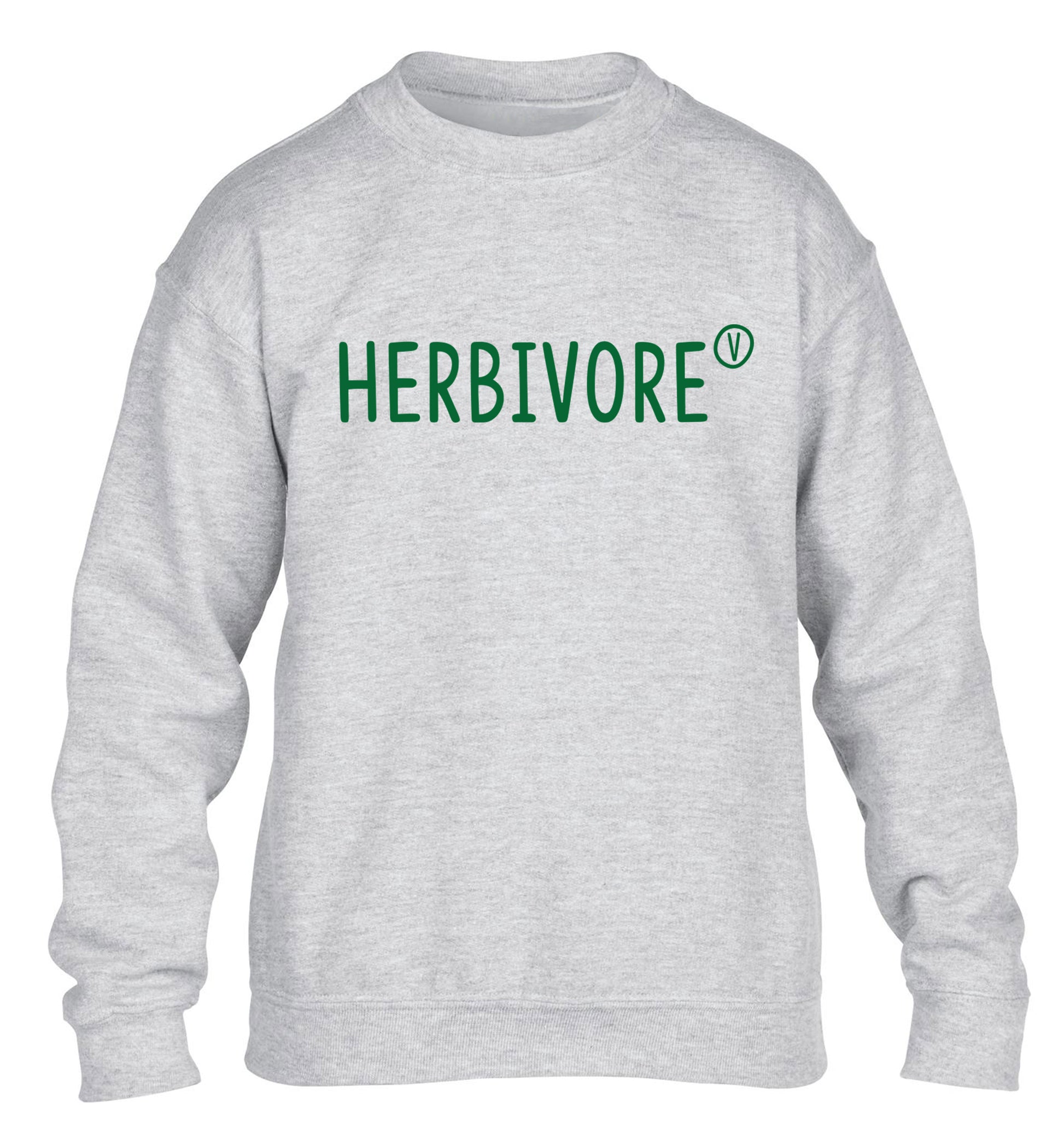 Herbivore children's grey sweater 12-13 Years