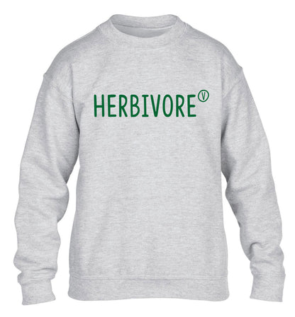Herbivore children's grey sweater 12-13 Years