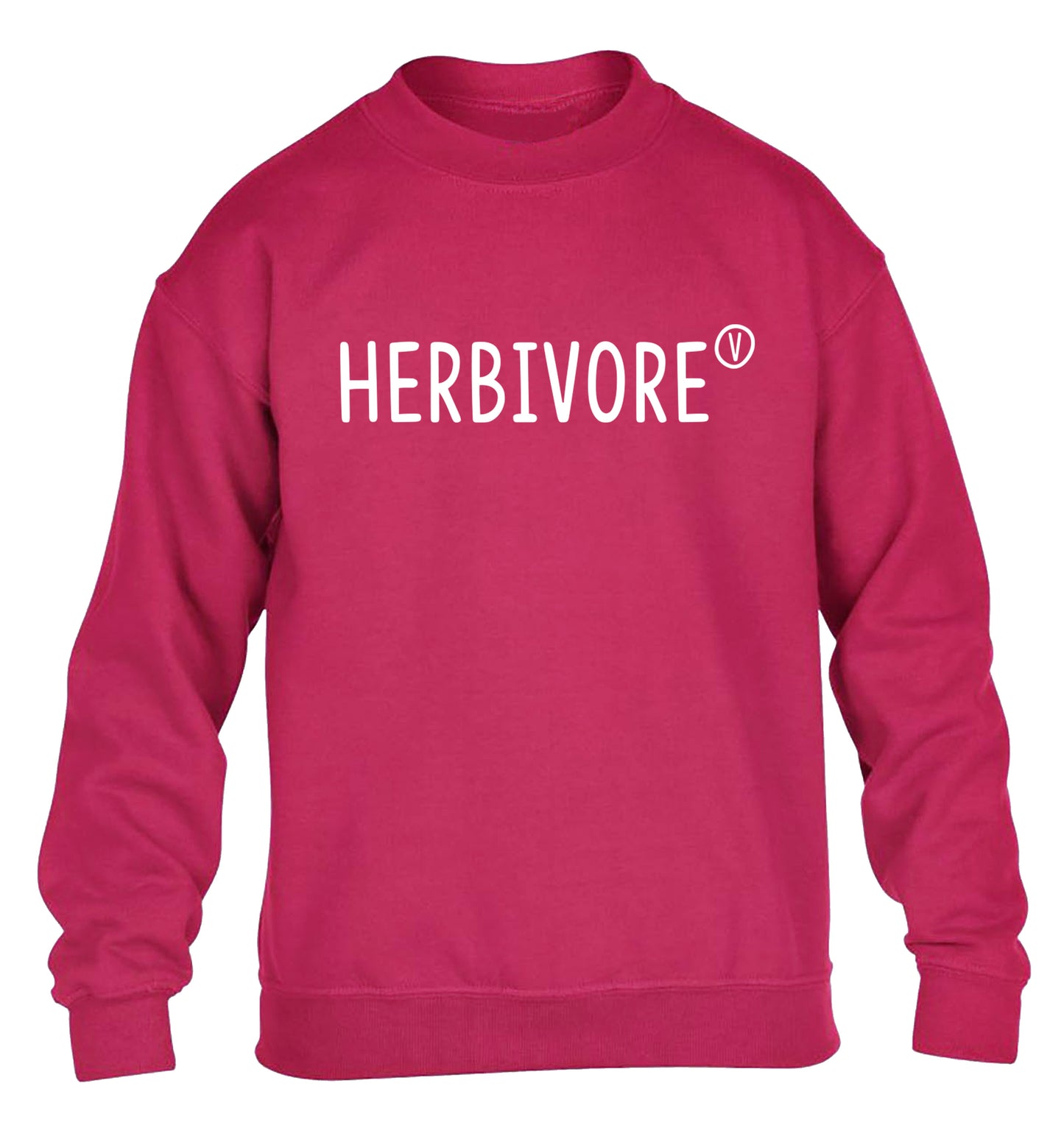 Herbivore children's pink sweater 12-13 Years