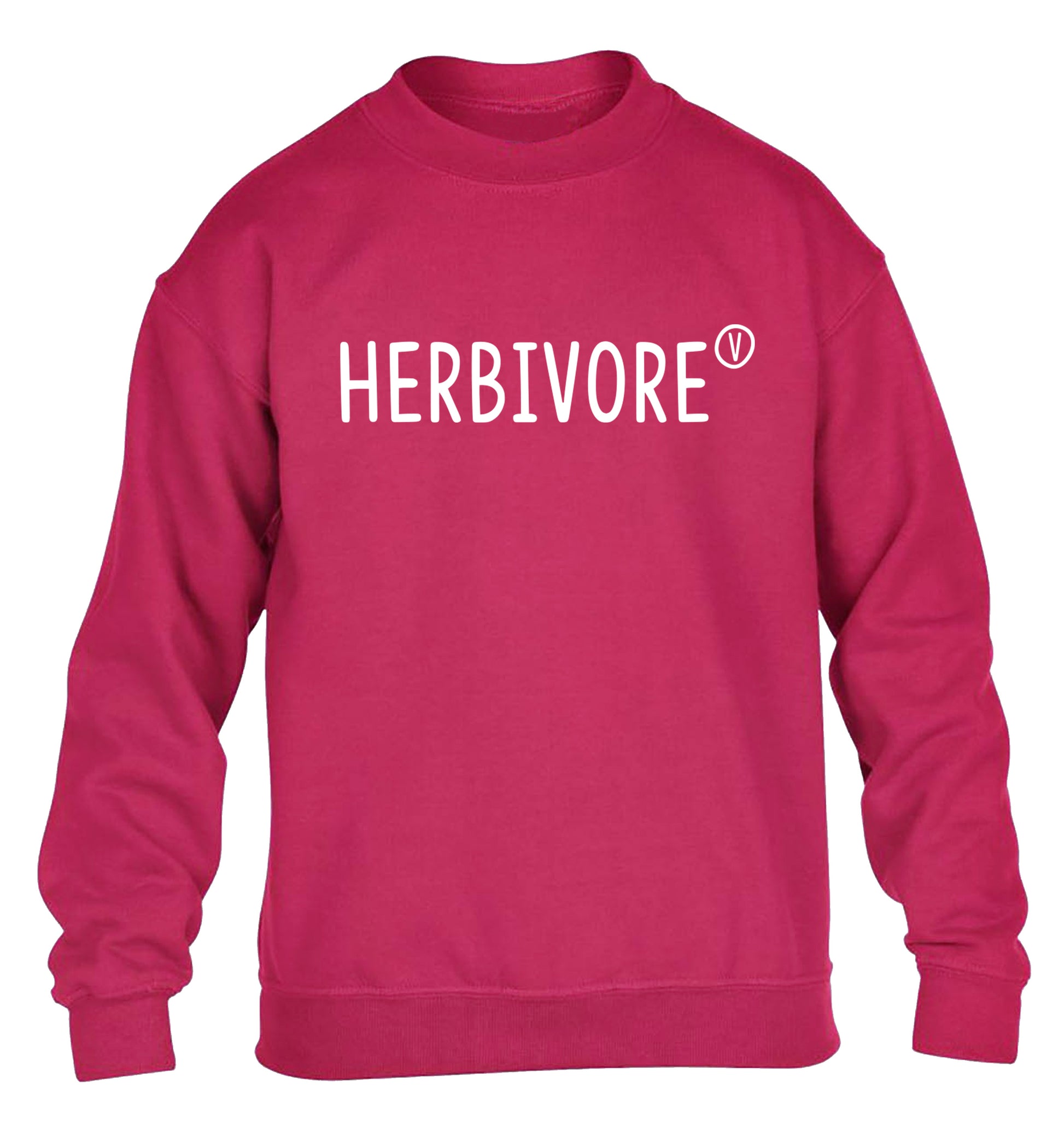 Herbivore children's pink sweater 12-13 Years