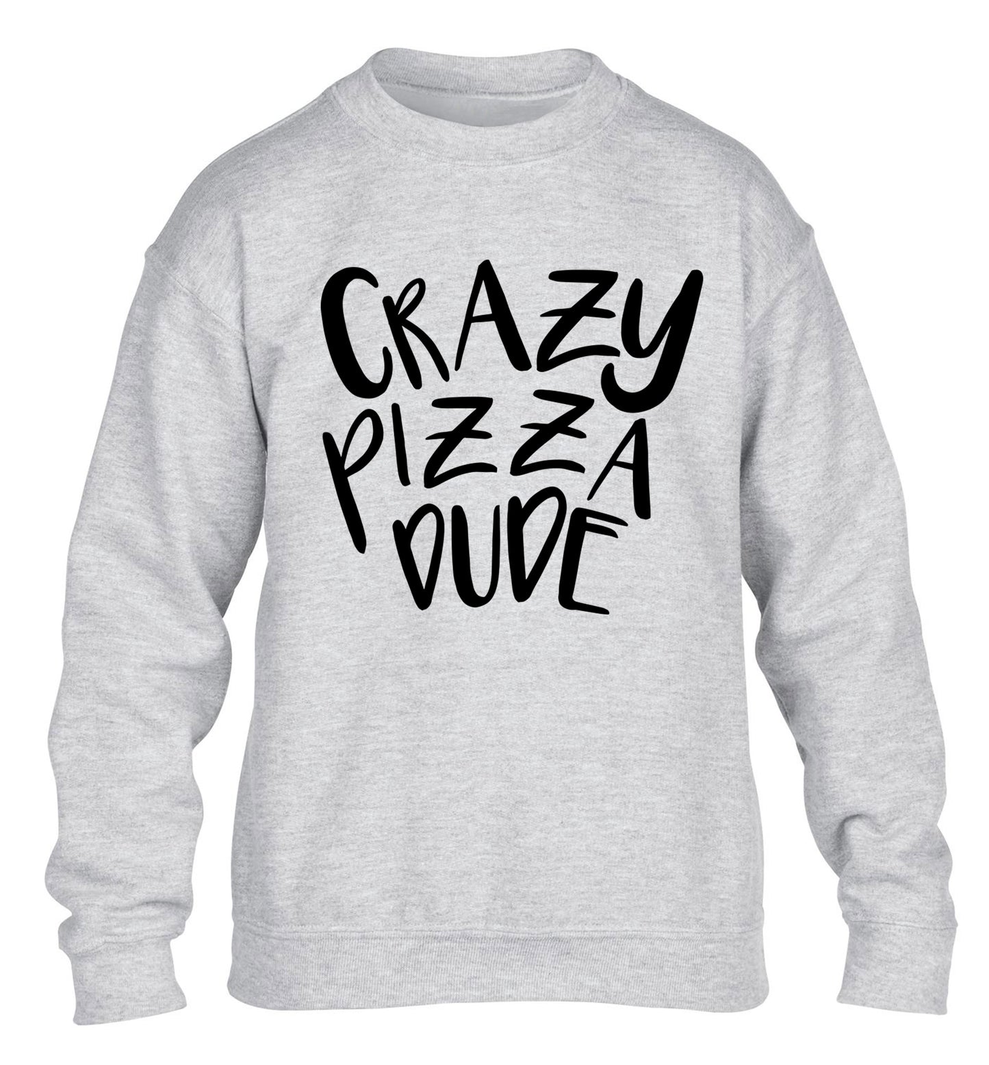 Crazy pizza dude children's grey sweater 12-13 Years