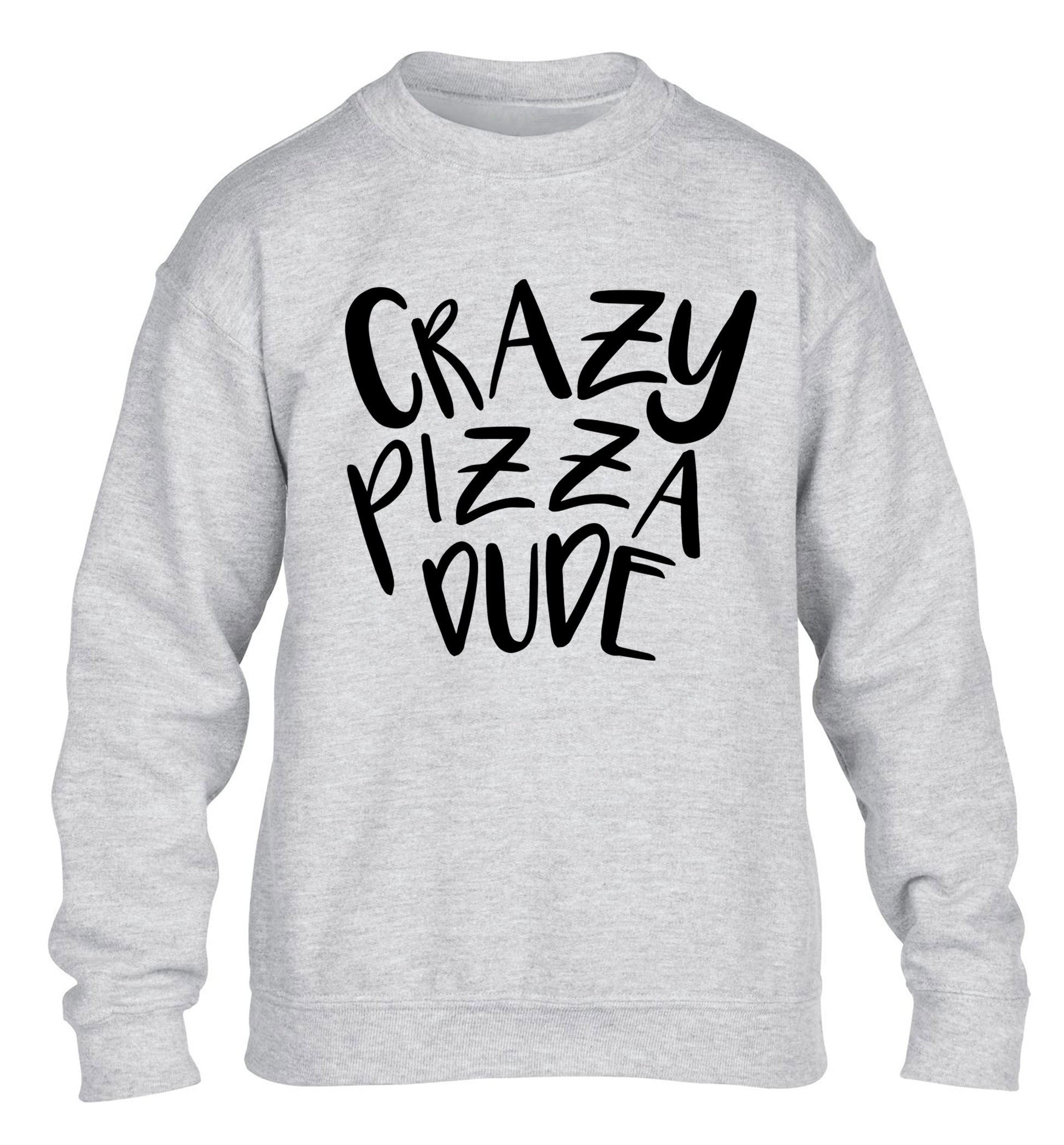 Crazy pizza dude children's grey sweater 12-13 Years
