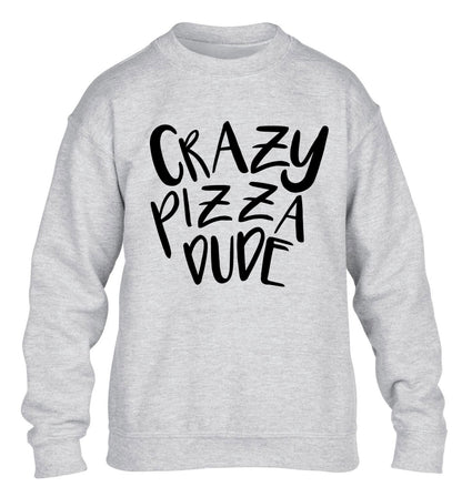Crazy pizza dude children's grey sweater 12-13 Years