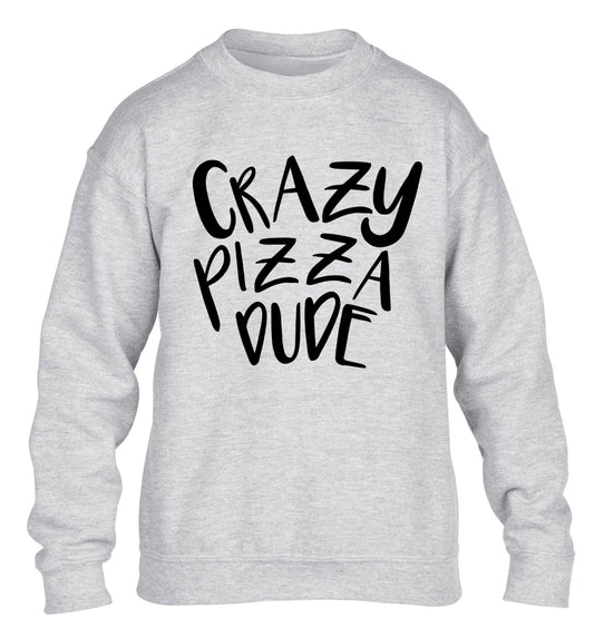 Crazy pizza dude children's grey sweater 12-13 Years