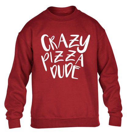 Crazy pizza dude children's grey sweater 12-13 Years