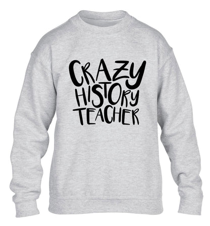 Crazy history teacher children's grey sweater 12-13 Years