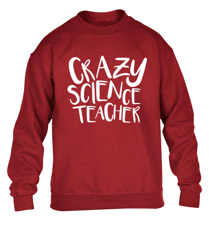 Crazy science teacher children's grey sweater 12-13 Years
