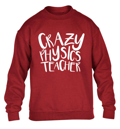 Crazy physics teacher children's grey sweater 12-13 Years