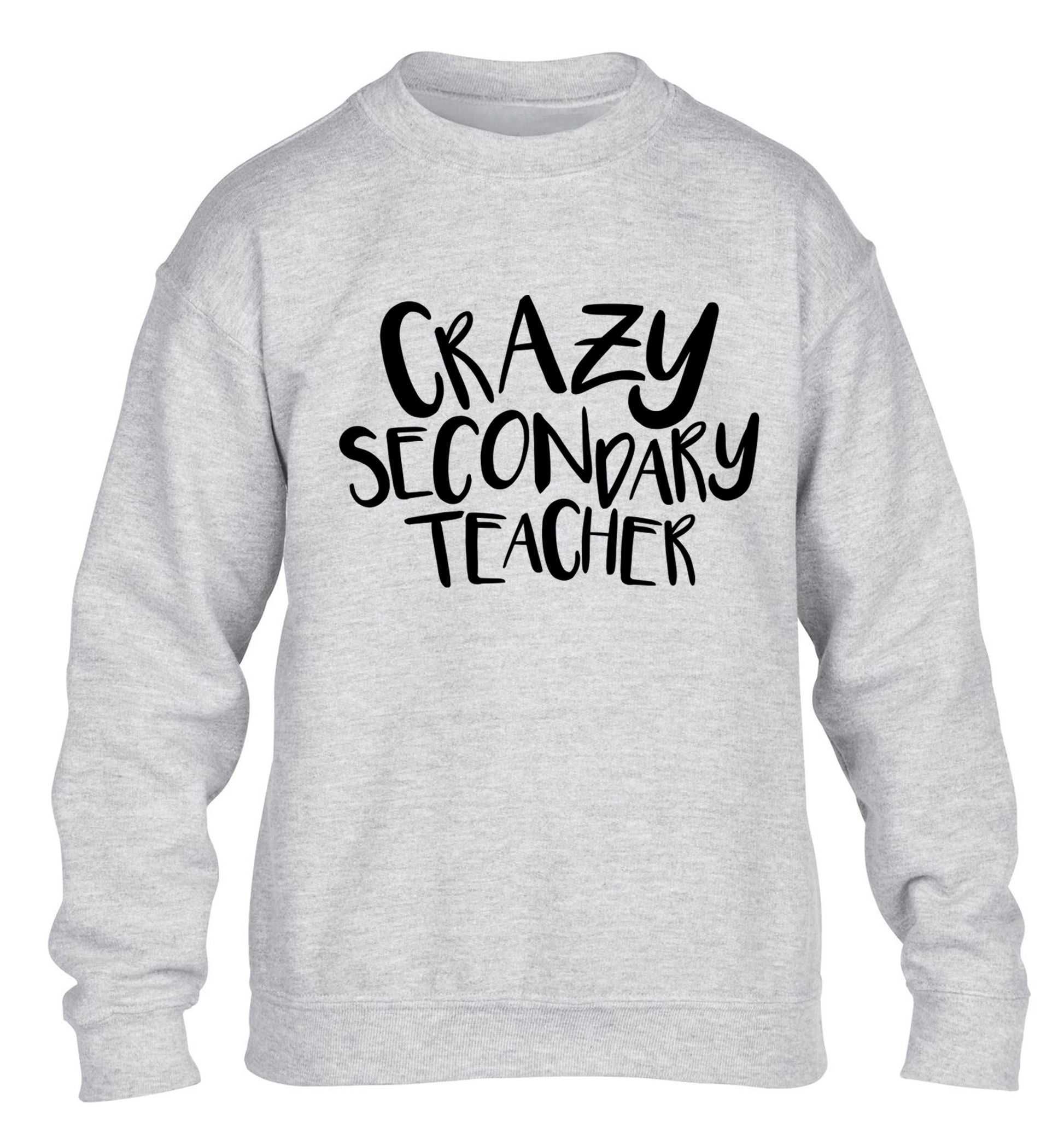 Crazy secondary teacher children's grey sweater 12-13 Years