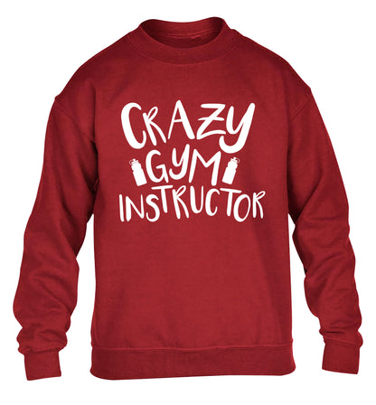 Crazy gym instructor children's grey sweater 12-13 Years