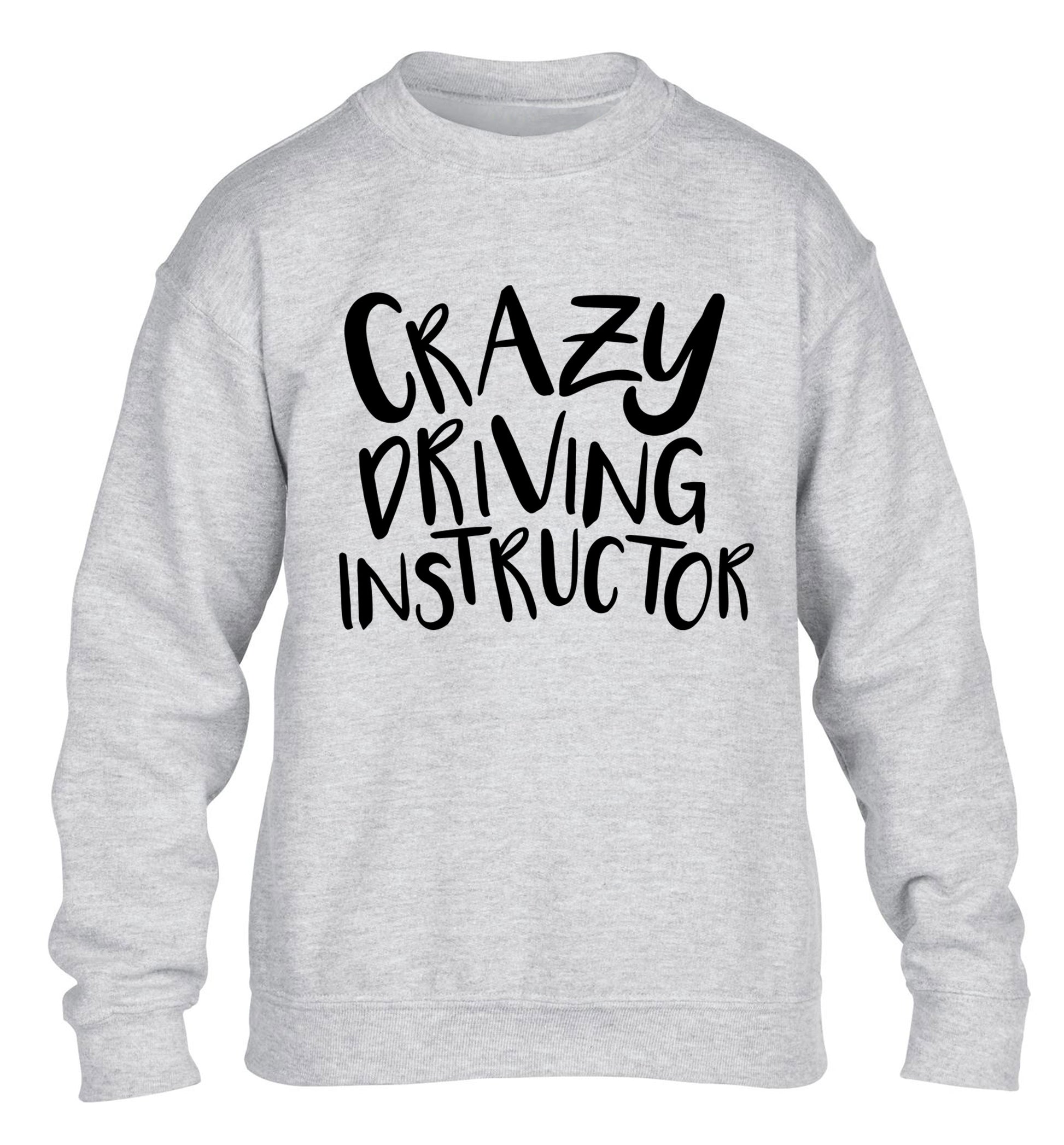 Crazy driving instructor children's grey sweater 12-13 Years