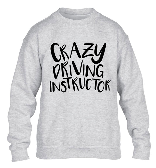 Crazy driving instructor children's grey sweater 12-13 Years