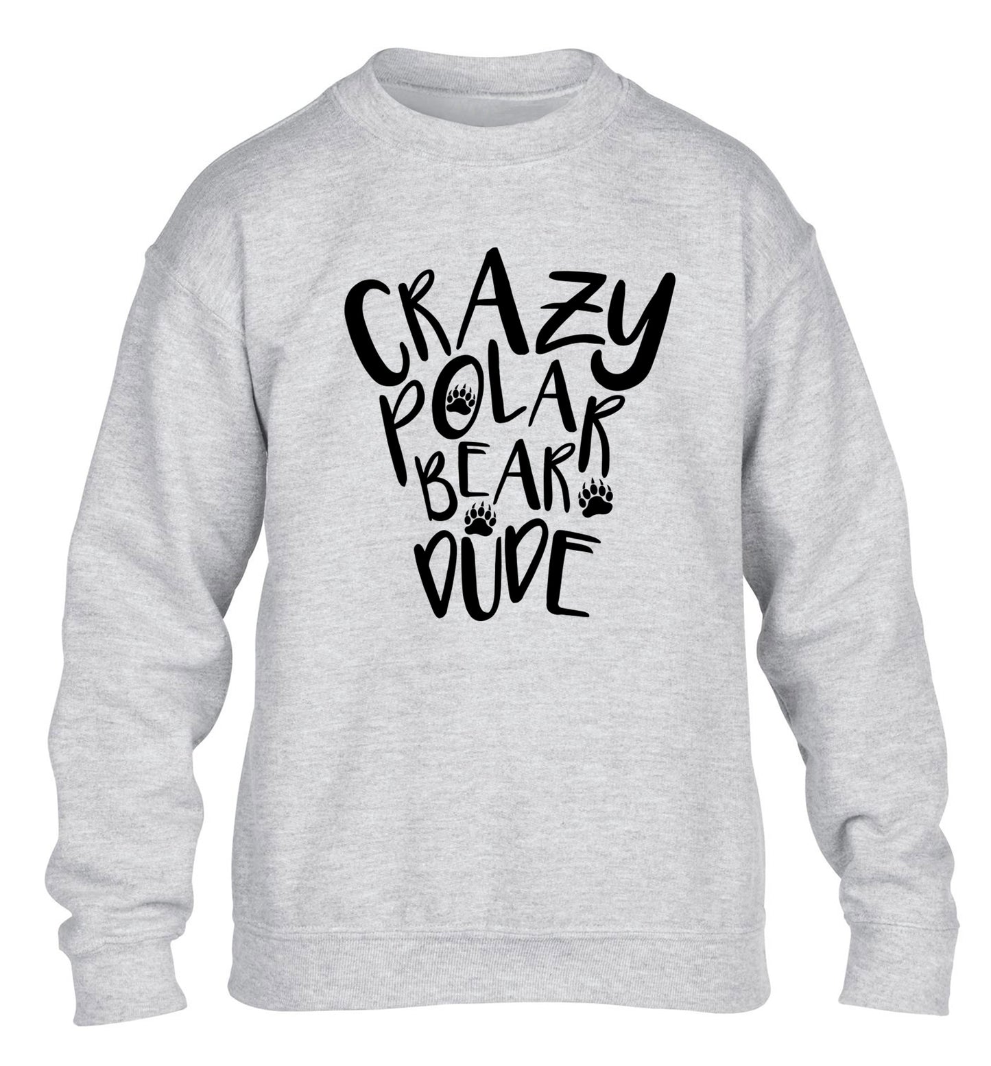 Crazy polar bear dude children's grey sweater 12-13 Years