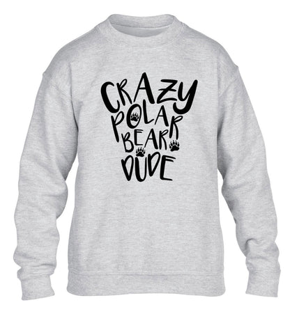 Crazy polar bear dude children's grey sweater 12-13 Years