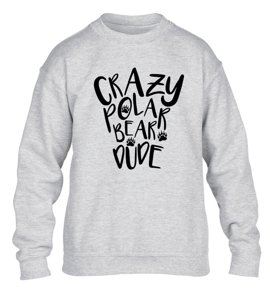 Crazy polar bear dude children's grey sweater 12-13 Years