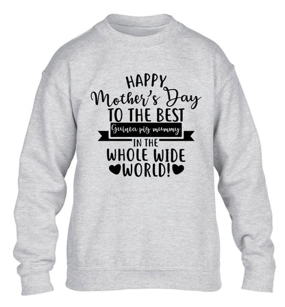 Happy mother's day to the best guinea pig mum children's grey sweater 12-13 Years