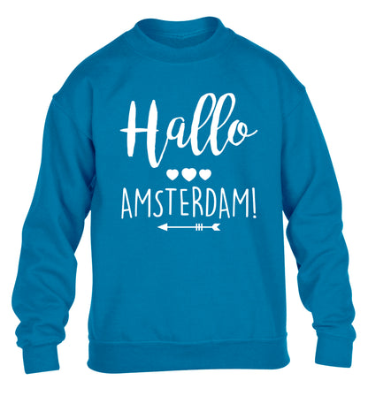 Hallo Amsterdam children's blue sweater 12-13 Years