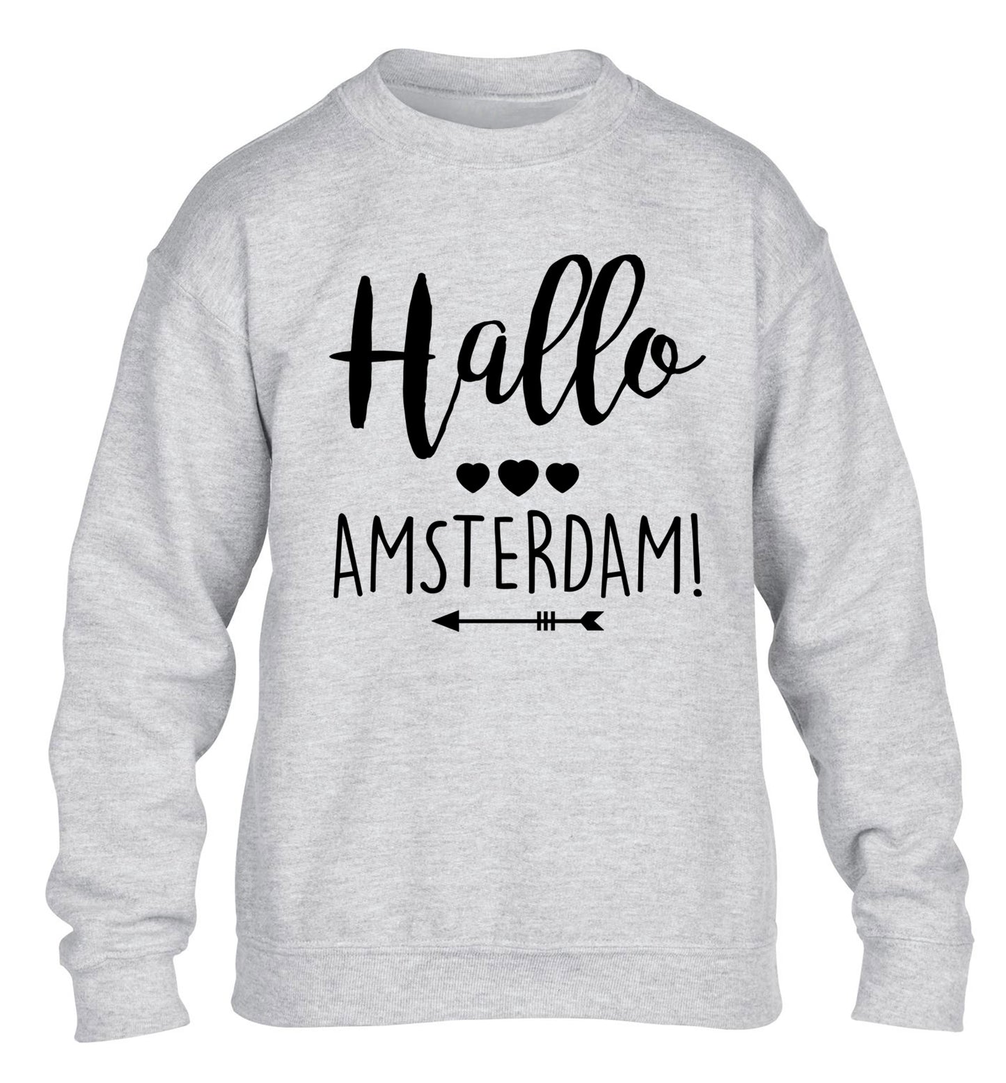 Hallo Amsterdam children's grey sweater 12-13 Years