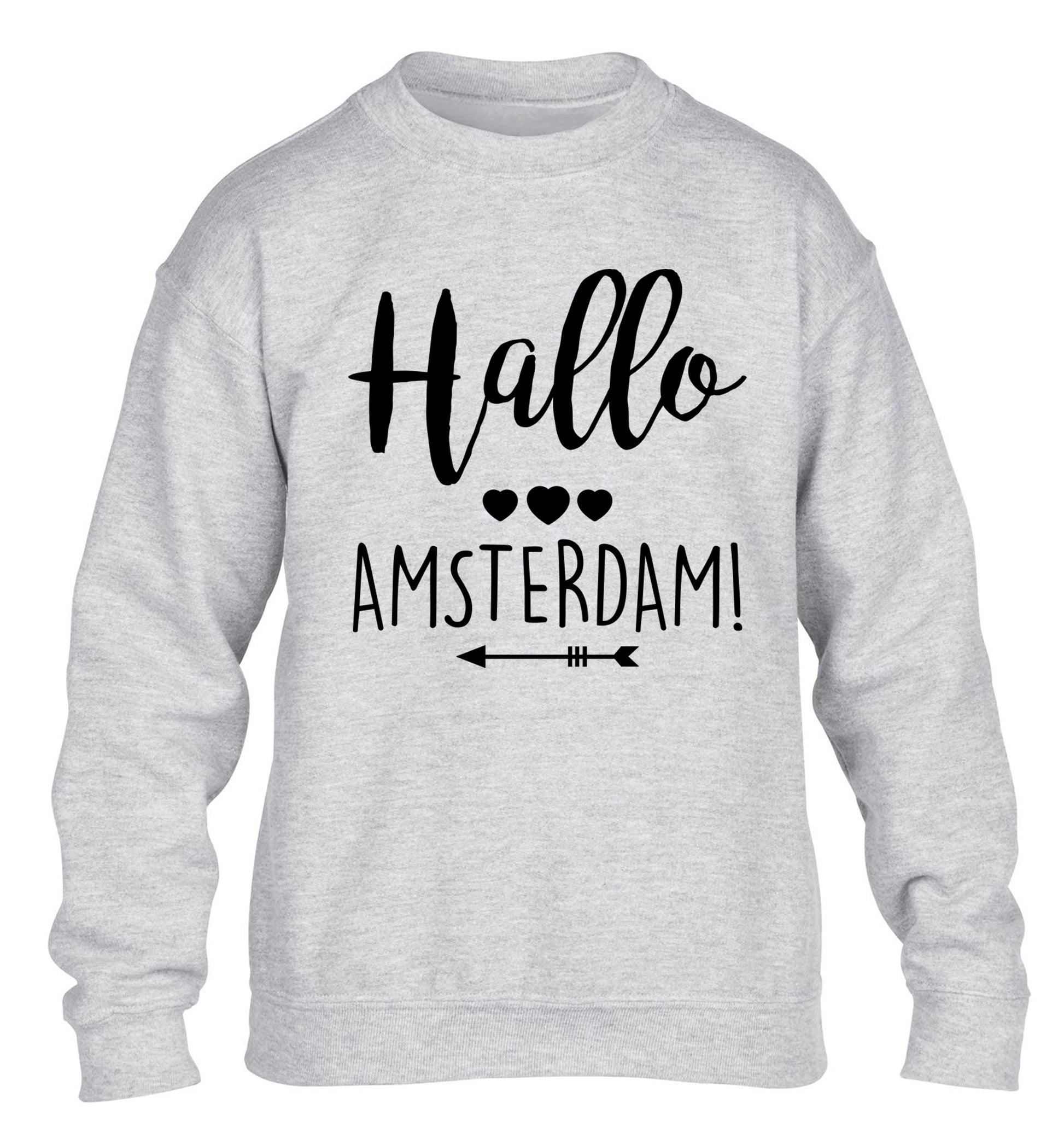 Hallo Amsterdam children's grey sweater 12-13 Years